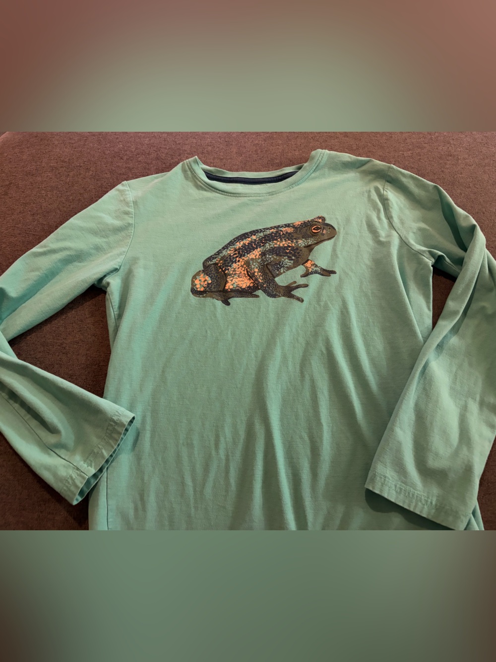 Tea Collection Long Sleeve Teal Green Tee with Frog Graphic